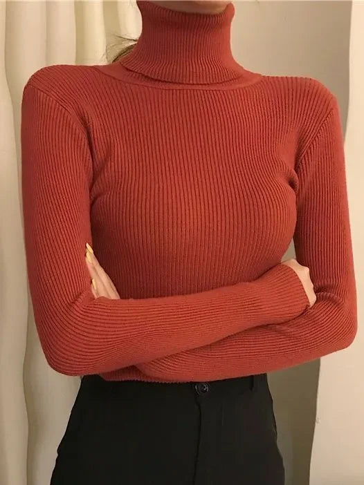 Alice - Einfacher Rollkragenpullover 12